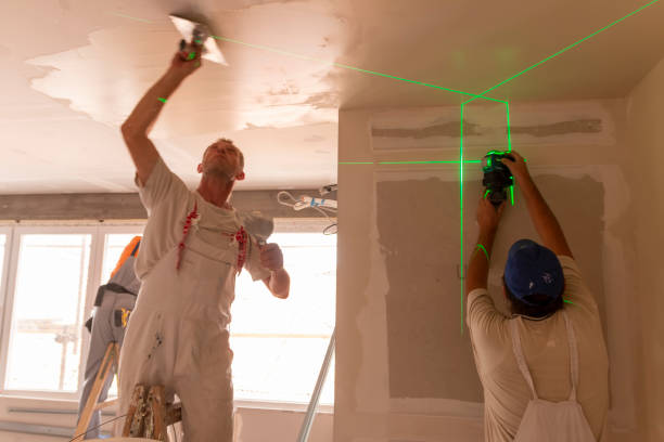 Best Drywall Installation  in Lorain, OH